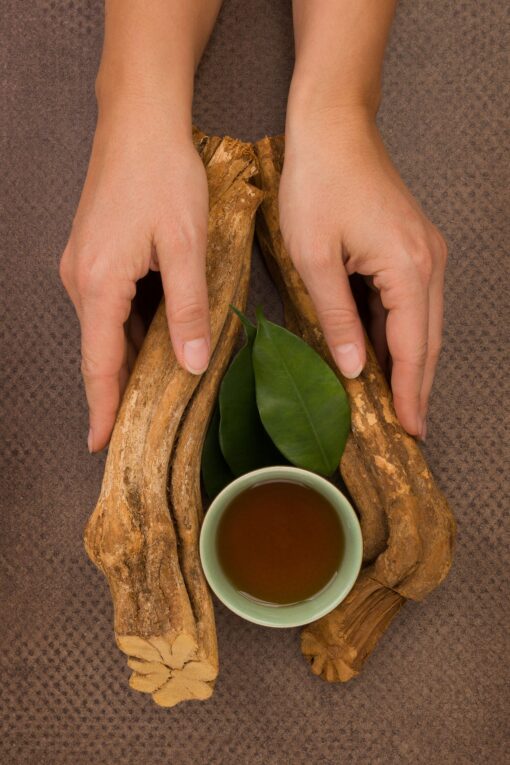 Buy Soul Herbs: Ayahuasca Online for Sale. These Ayahuasca tea for sale is a psychoactive brew that has been used for medicinal and spiritual purposes for centuries.