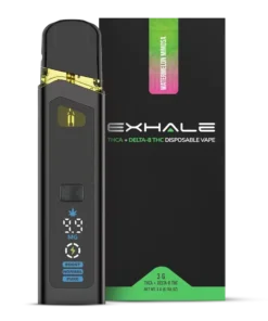 Watermelon Mimosa THCA Disposable – 3G